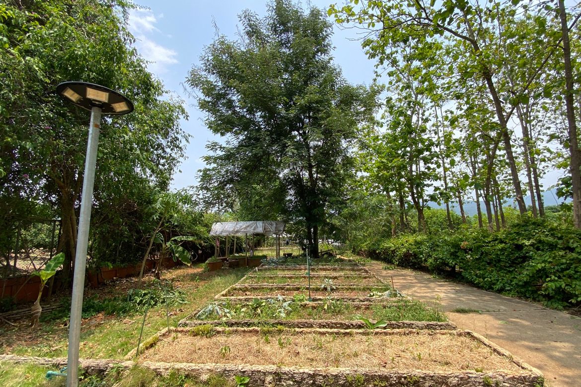 A 12 rai teakwood estate with luxury residence is for sale in Phrao area of Chiang Mai-P-PHS1127