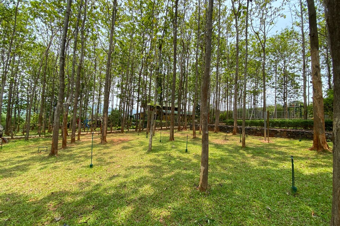 A 12 rai teakwood estate with luxury residence is for sale in Phrao area of Chiang Mai-P-PHS1127
