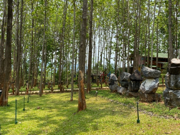 A 12 rai teakwood estate with luxury residence is for sale in Phrao area of Chiang Mai-P-PHS1127