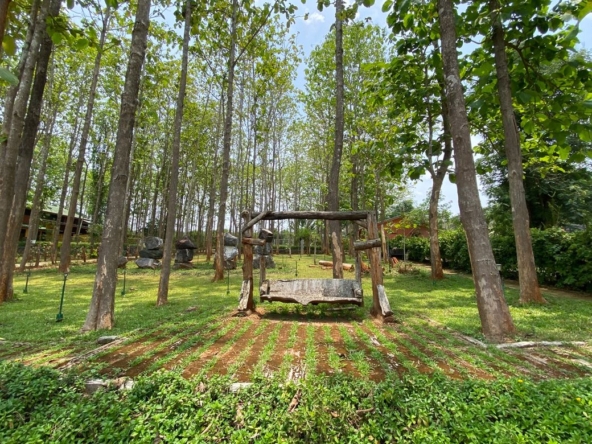 A 12 rai teakwood estate with luxury residence is for sale in Phrao area of Chiang Mai-P-PHS1127