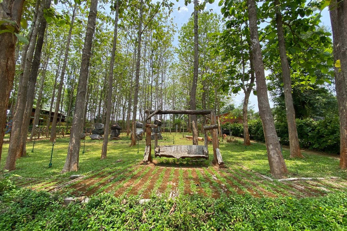 A 12 rai teakwood estate with luxury residence is for sale in Phrao area of Chiang Mai-P-PHS1127