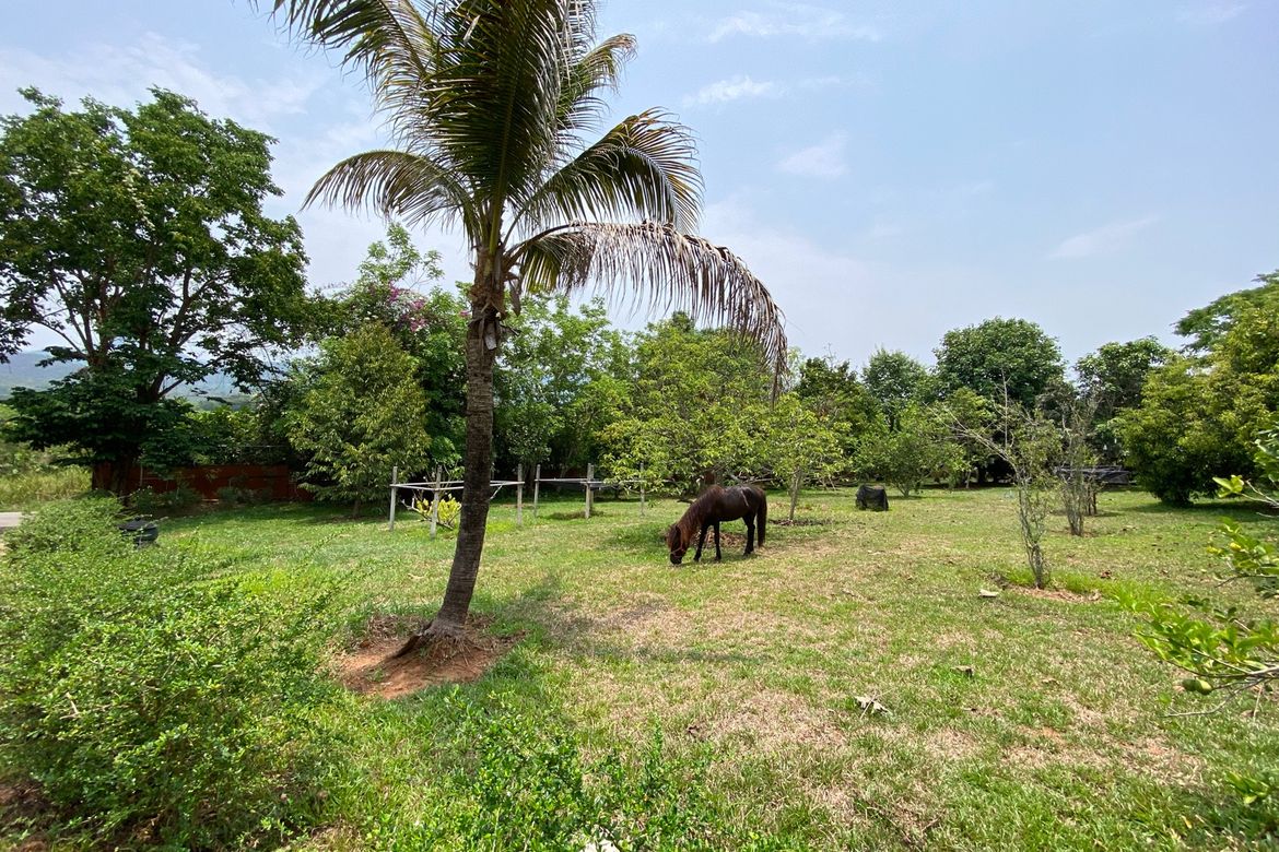 A 12 rai teakwood estate with luxury residence is for sale in Phrao area of Chiang Mai-P-PHS1127