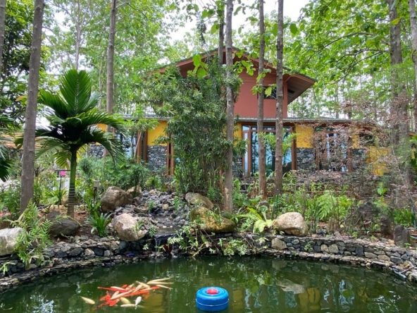 A 12 rai teakwood estate with luxury residence is for sale in Phrao area of Chiang Mai-P-PHS1127