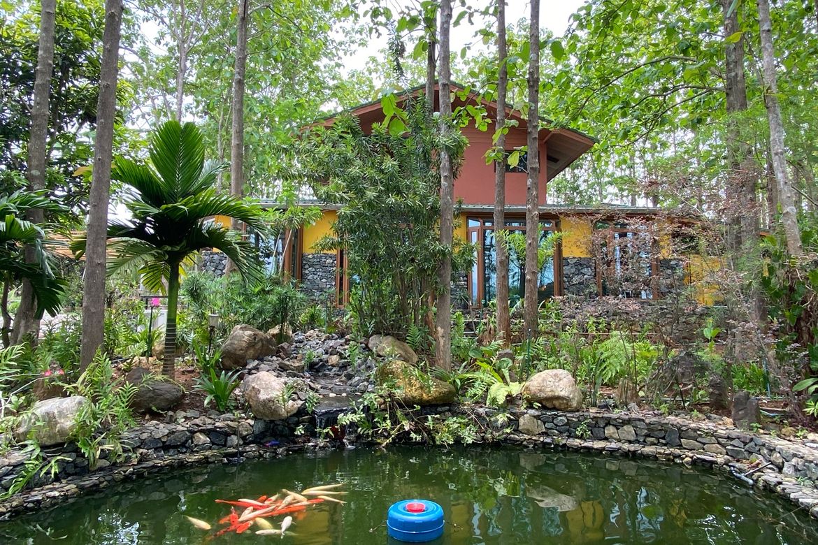 A 12 rai teakwood estate with luxury residence is for sale in Phrao area of Chiang Mai-P-PHS1127