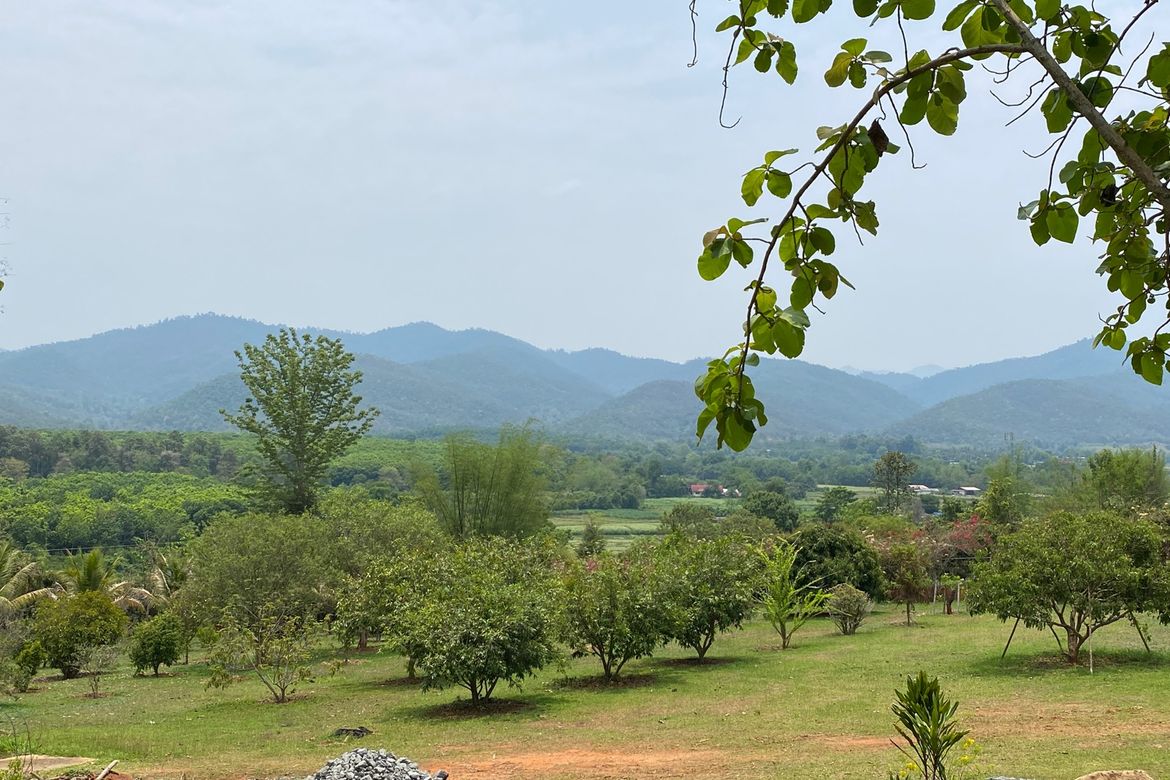 A 12 rai teakwood estate with luxury residence is for sale in Phrao area of Chiang Mai-P-PHS1127