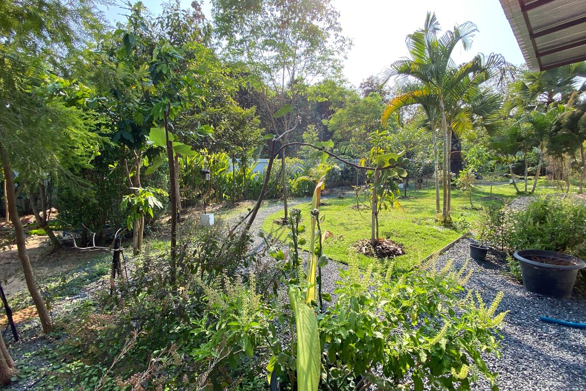 Chiang Mai-P-PHS1087