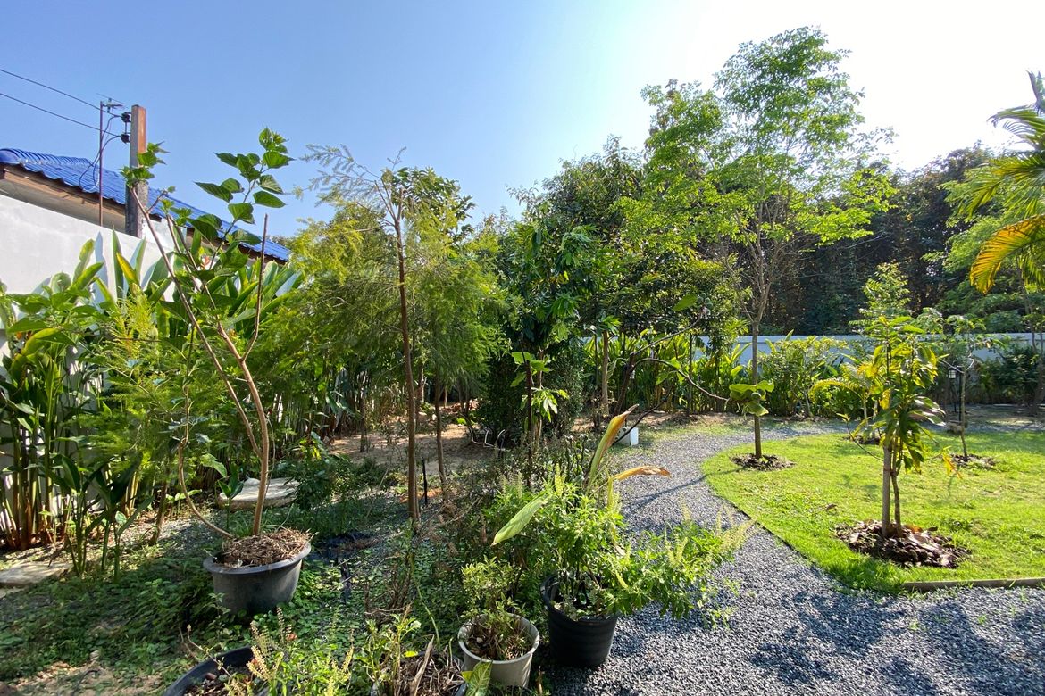Chiang Mai-P-PHS1087