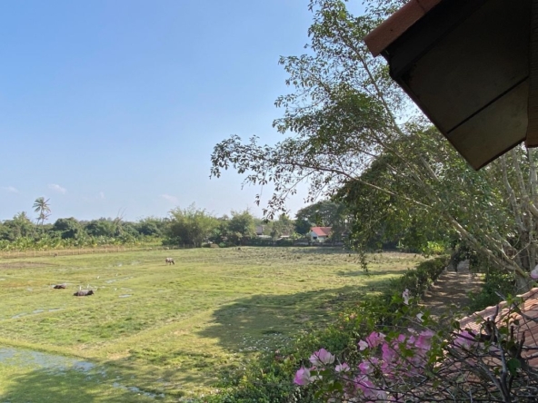 Luxurious 6 Bedroom Pool Villa in Mae Jo