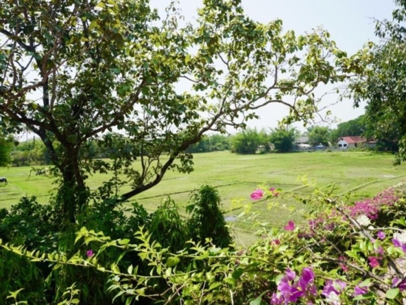 Chiang Mai-P-PHS268