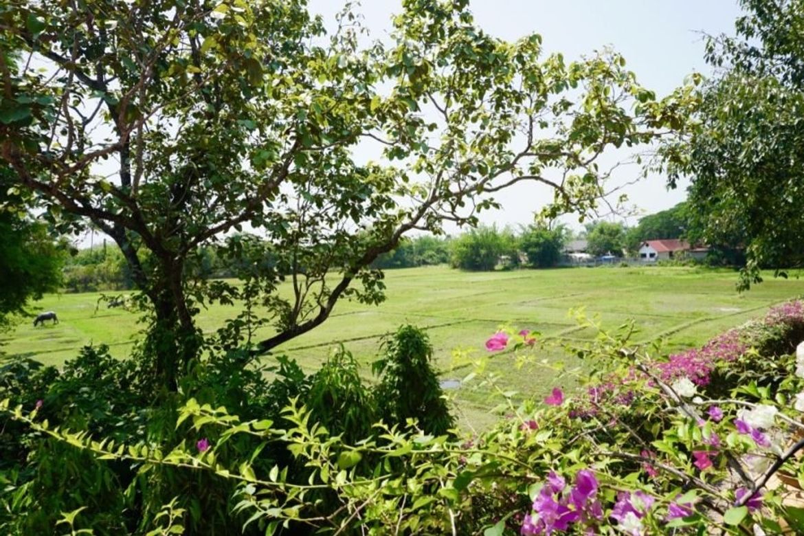 Chiang Mai-P-PHS268