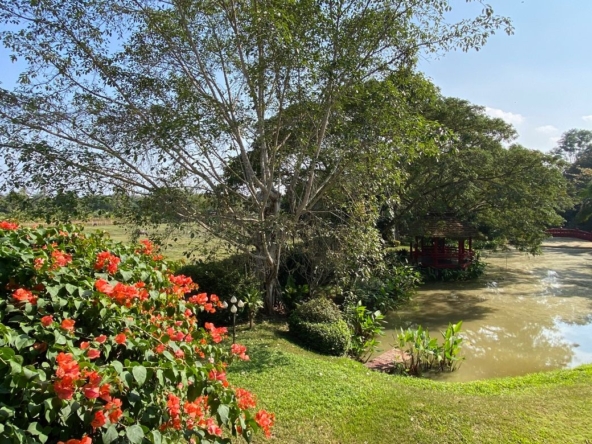 Chiang Mai-P-PHS268