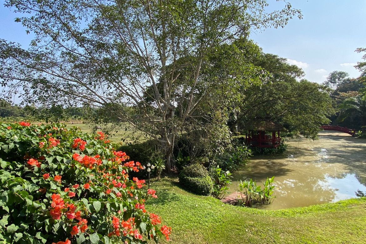 Chiang Mai-P-PHS268