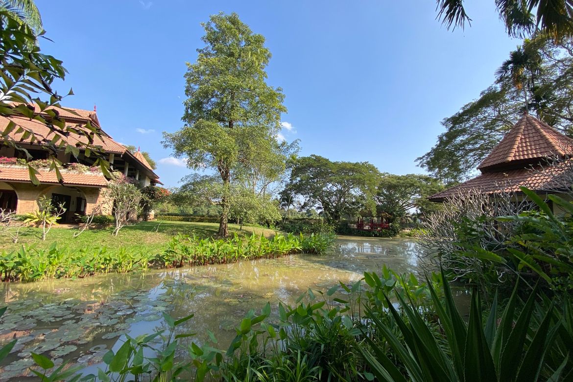 Chiang Mai-P-PHS268