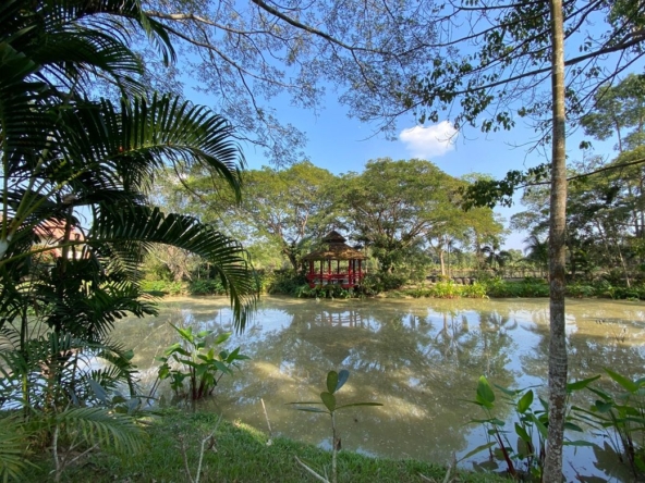 Chiang Mai-P-PHS268