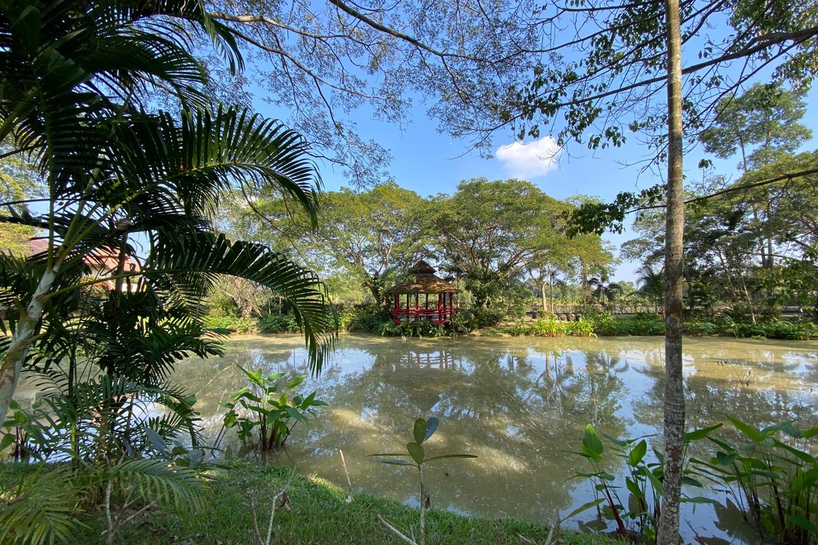 Chiang Mai-P-PHS268
