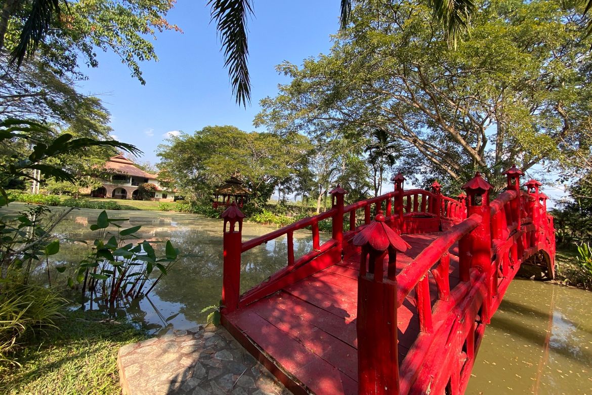 Chiang Mai-P-PHS268