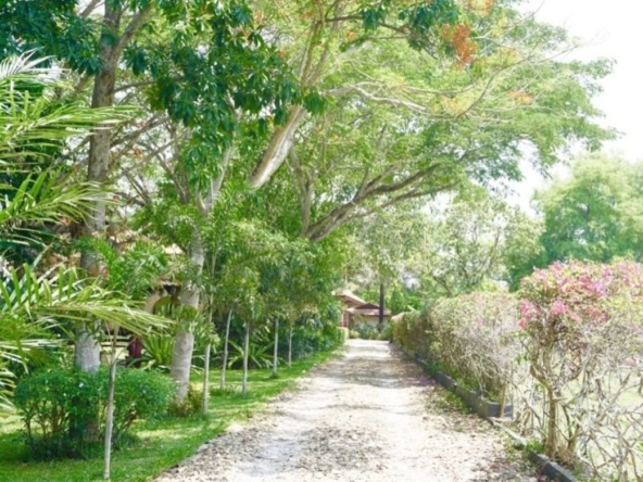 Luxurious 6 Bedroom Pool Villa in Mae Jo