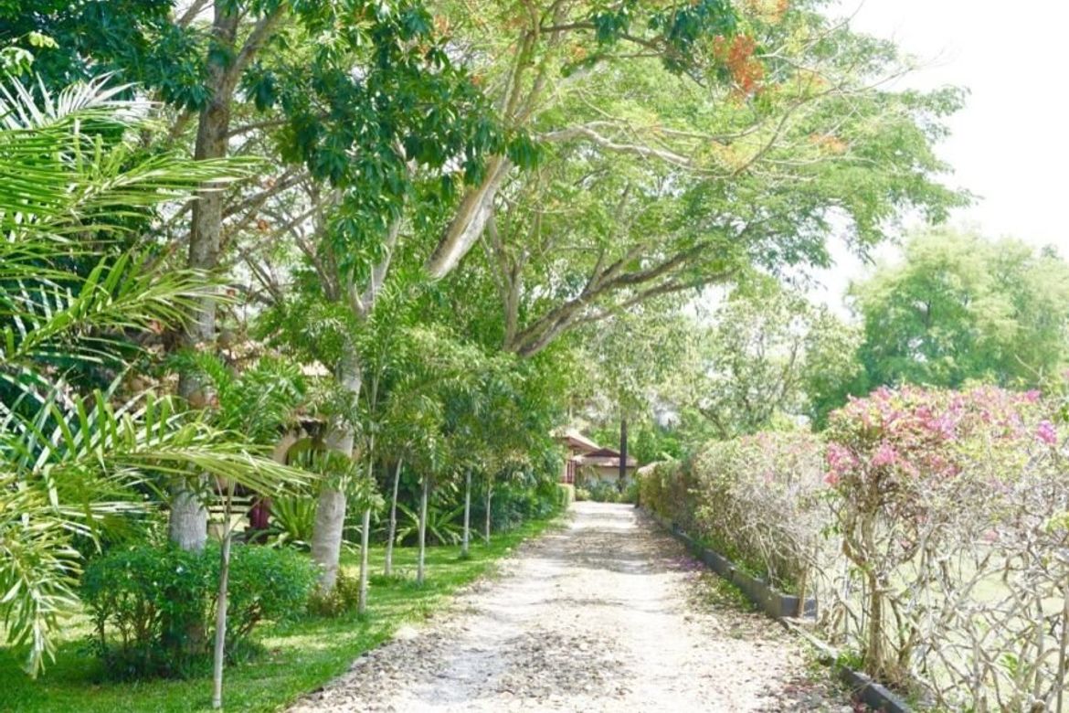 Luxurious 6 Bedroom Pool Villa in Mae Jo
