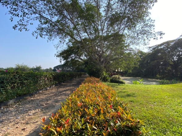 Chiang Mai-P-PHS268
