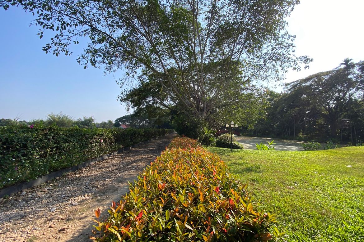 Chiang Mai-P-PHS268