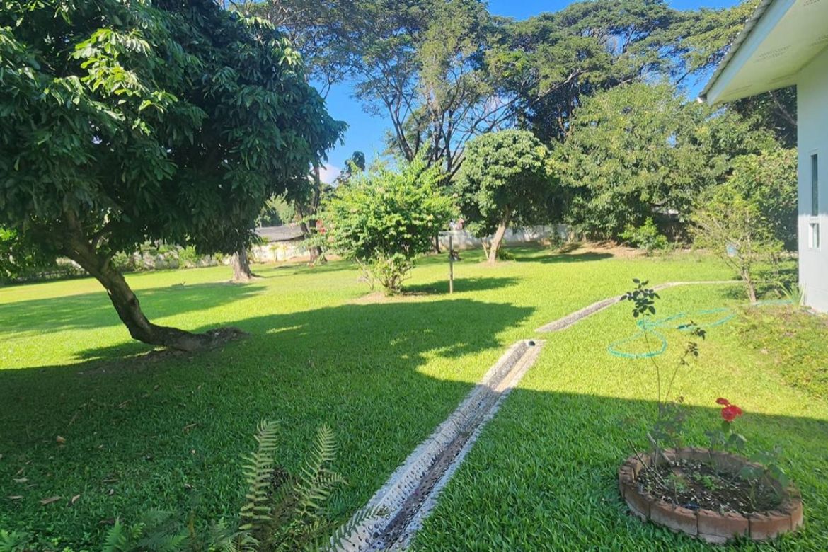 4 bed house for rent or sale in Doi Saket