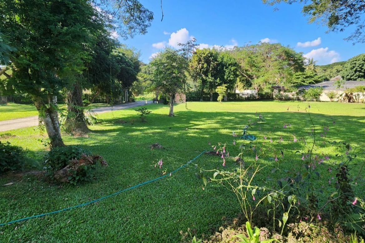 4 bed house for rent or sale in Doi Saket