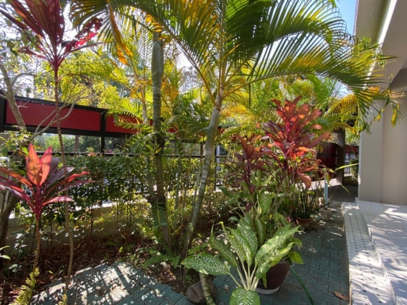 Chiang Mai-P-PHS1082