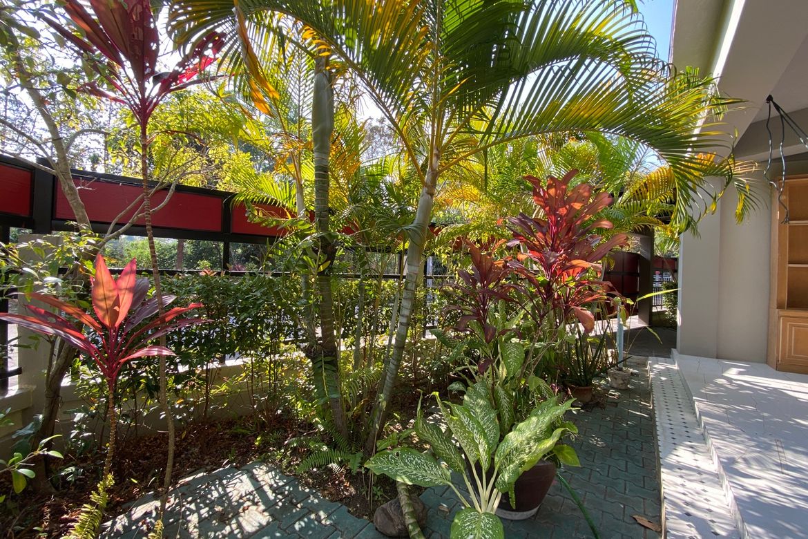 Chiang Mai-P-PHS1082