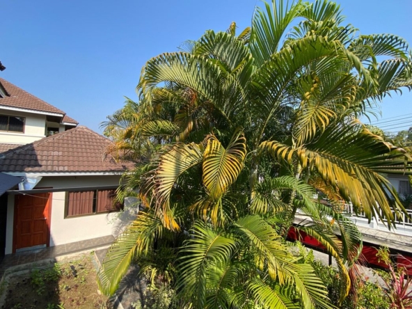 5 bed house for sale or rent as per floor at Don Kaew