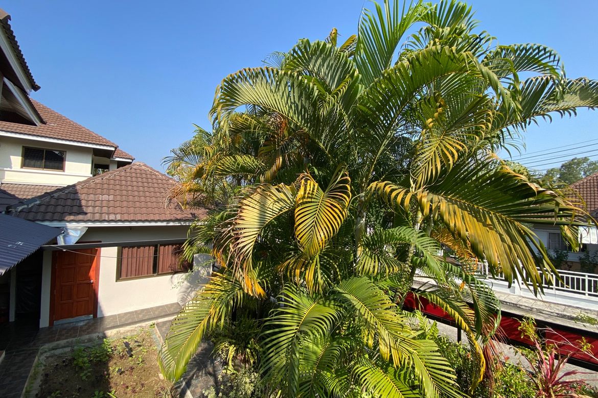 5 bed house for sale or rent as per floor at Don Kaew