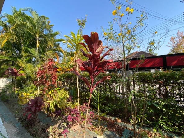 5 bed house for sale or rent as per floor at Don Kaew