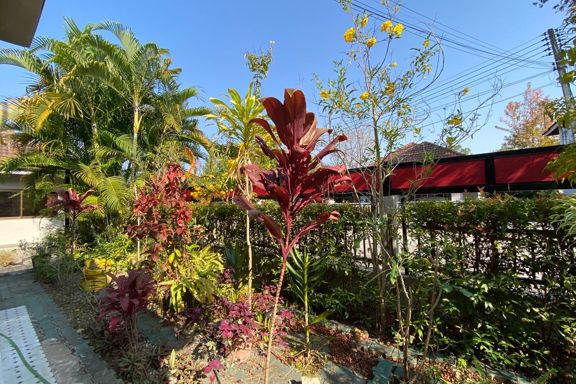 5 bed house for sale or rent as per floor at Don Kaew