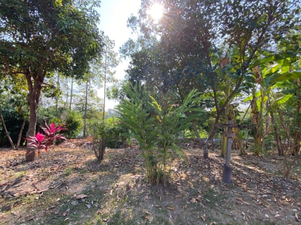 5 bed house for sale or rent as per floor at Don Kaew