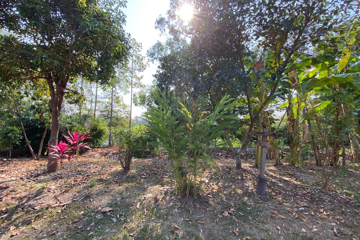 5 bed house for sale or rent as per floor at Don Kaew