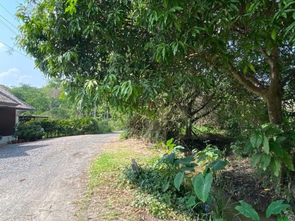 Chiang Mai-P-PHS1118