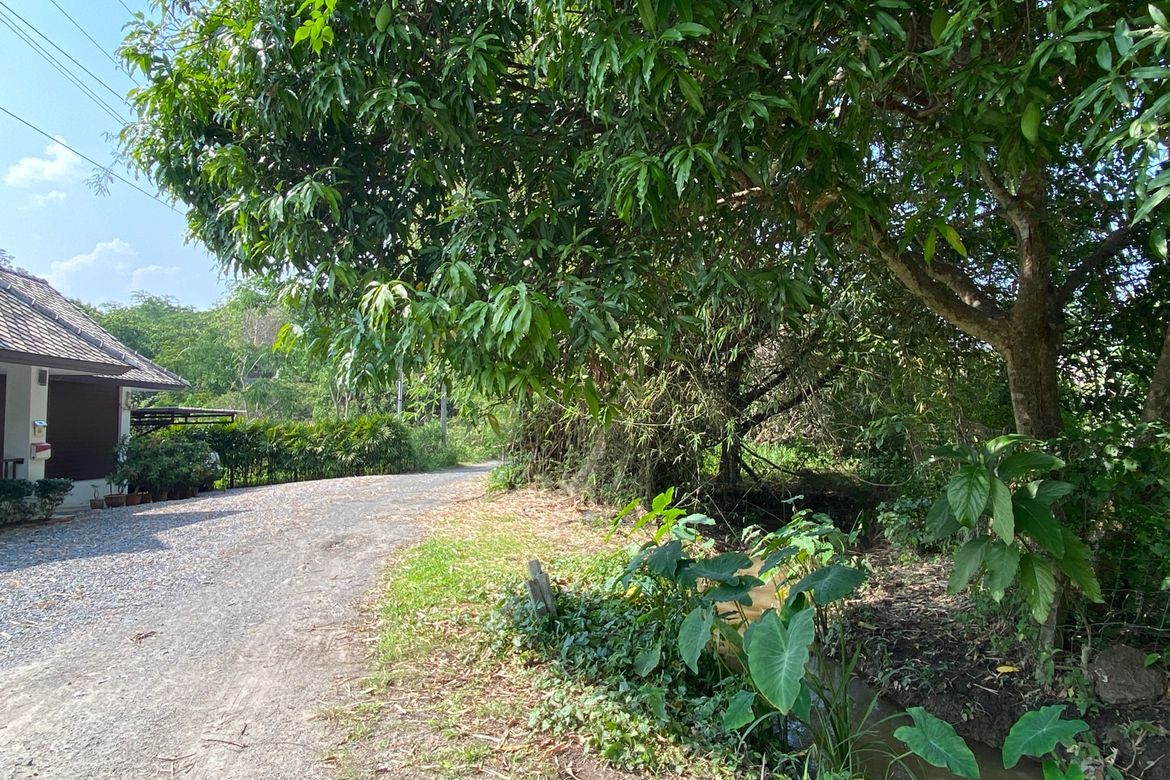 Chiang Mai-P-PHS1118