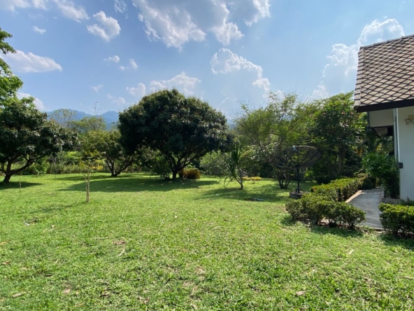 Chiang Mai-P-PHS1118