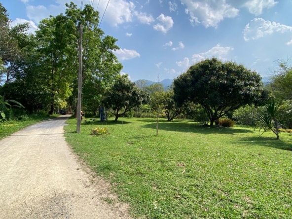 A charming one storey villa 2 bed for rent or sale in Mae Rim