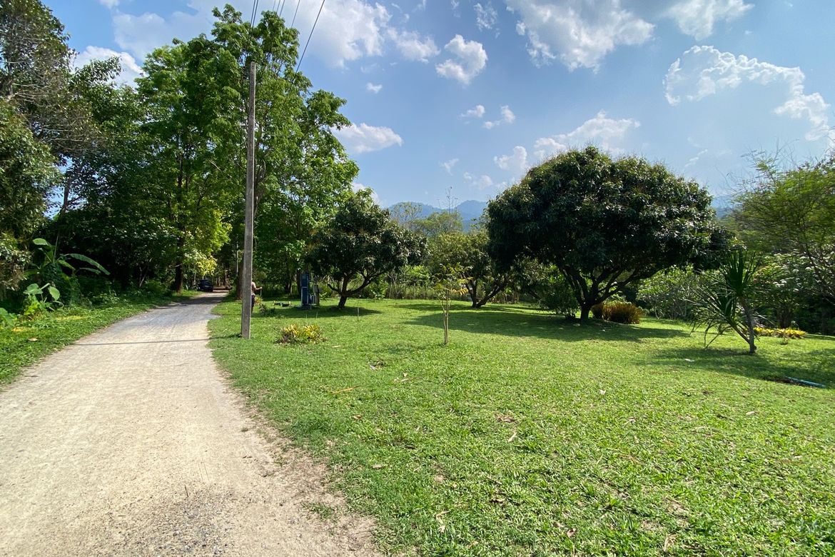 A charming one storey villa 2 bed for rent or sale in Mae Rim