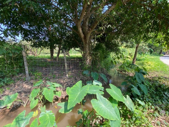 A charming one storey villa 2 bed for rent or sale in Mae Rim