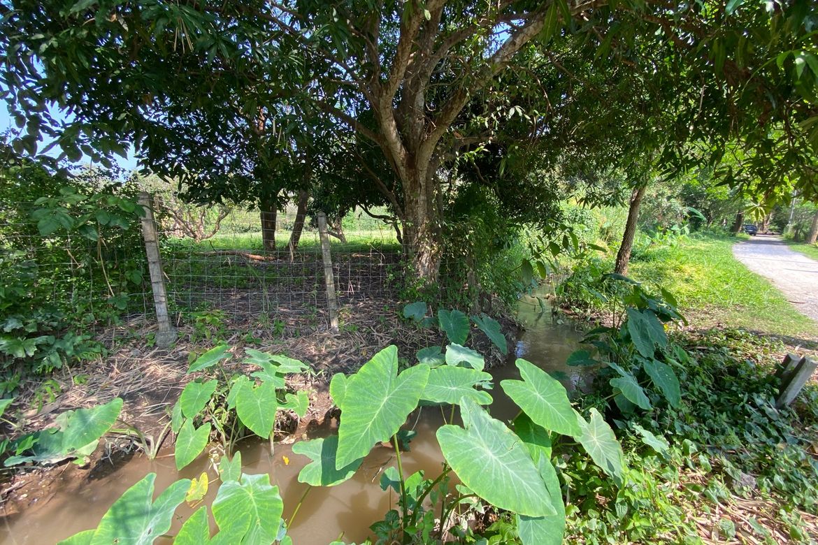 A charming one storey villa 2 bed for rent or sale in Mae Rim