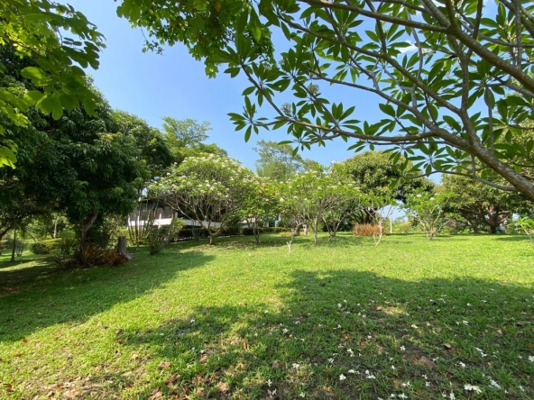 Chiang Mai-P-PHS1118