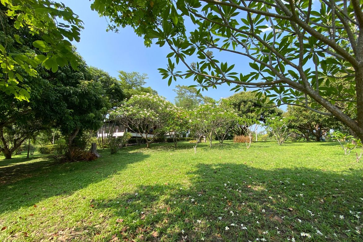 Chiang Mai-P-PHS1118