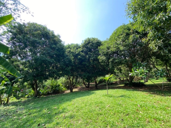 A charming one storey villa 2 bed for rent or sale in Mae Rim