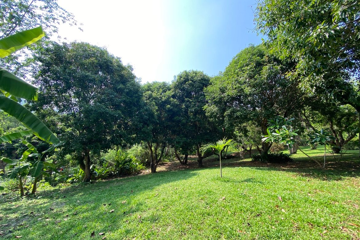 A charming one storey villa 2 bed for rent or sale in Mae Rim