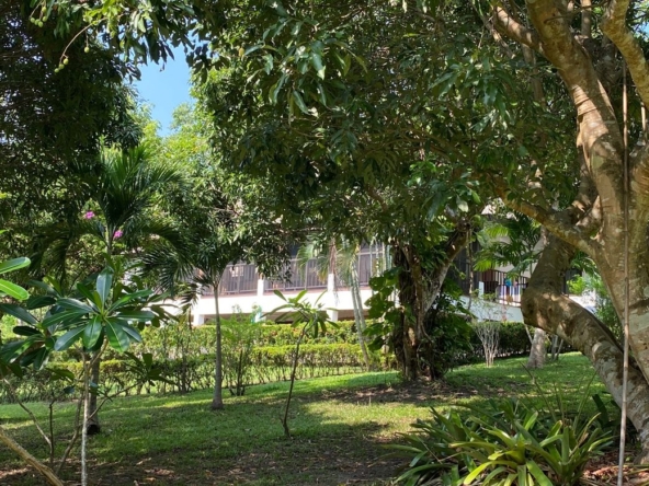Chiang Mai-P-PHS1118