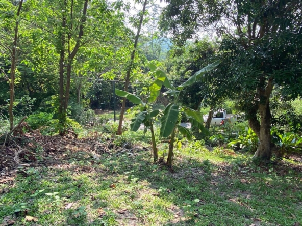 A charming one storey villa 2 bed for rent or sale in Mae Rim