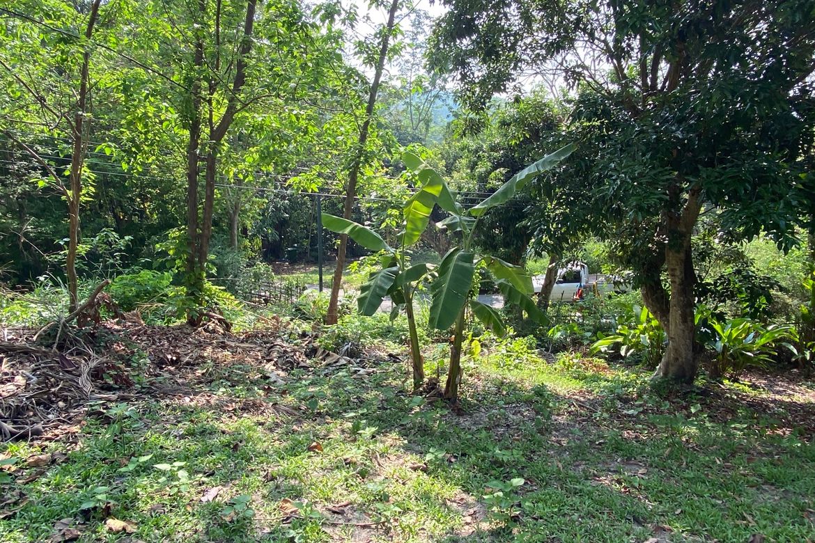 A charming one storey villa 2 bed for rent or sale in Mae Rim