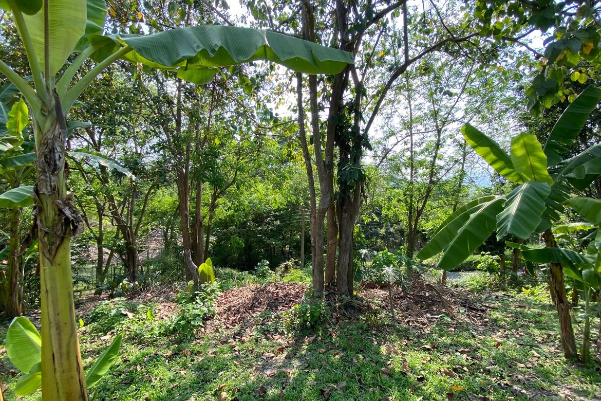 Chiang Mai-P-PHS1118