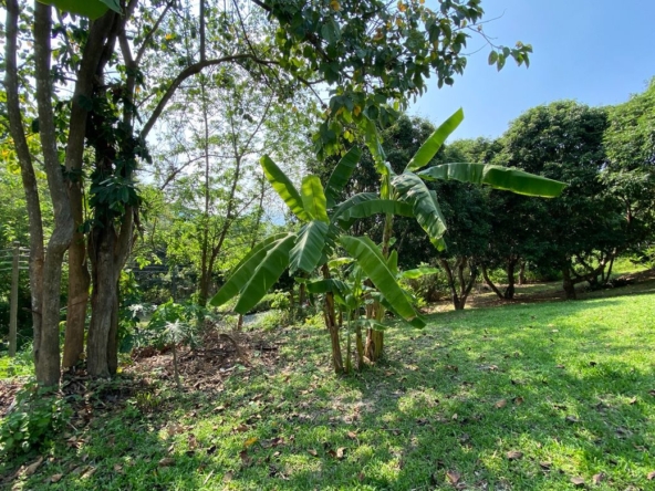 A charming one storey villa 2 bed for rent or sale in Mae Rim